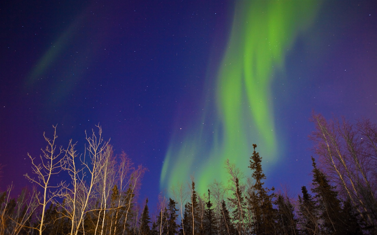 Natural wonders of the Northern Lights HD Wallpaper (2) #20 - 1280x800