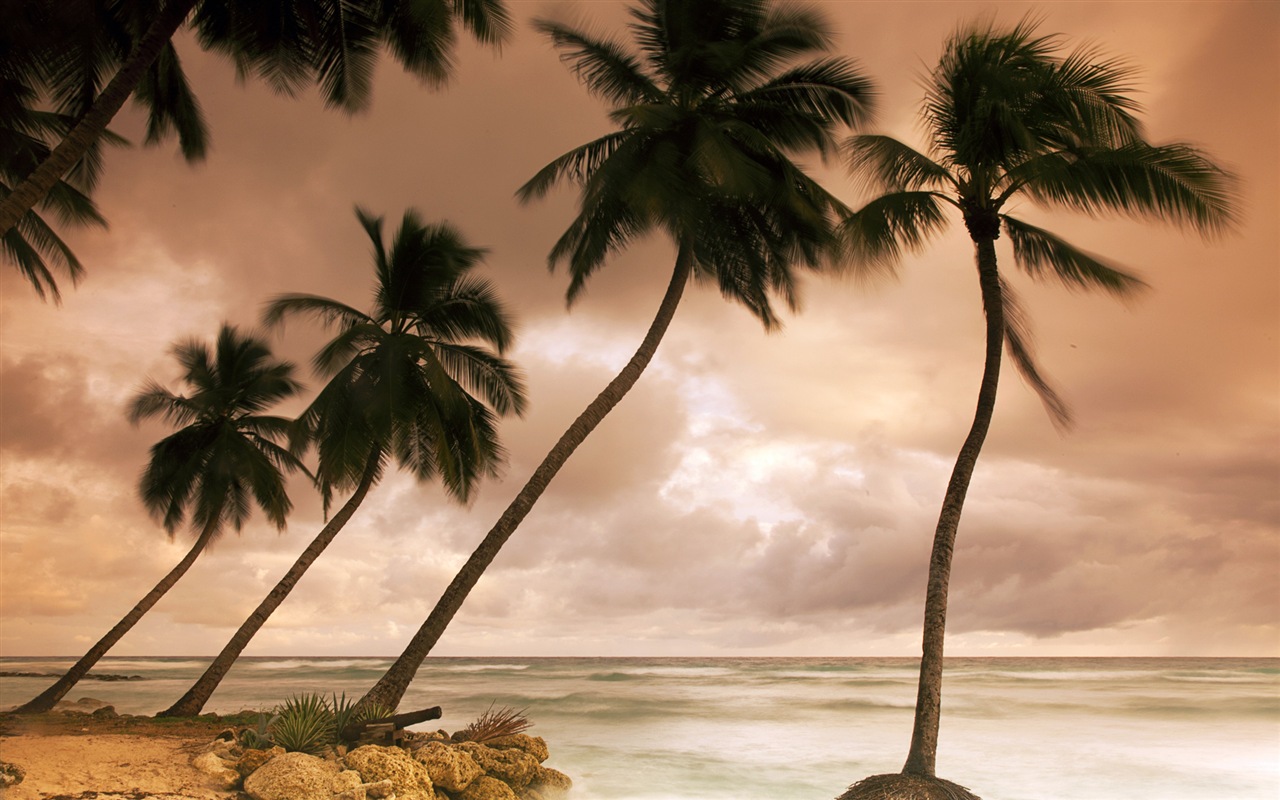 Windows 8 壁纸：加勒比海滨7 - 1280x800