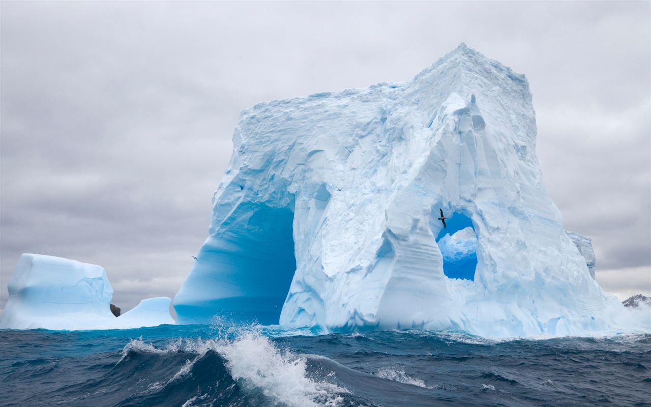 Windows 8 壁纸：南极洲，冰雪风景，南极企鹅7 - 1280x800