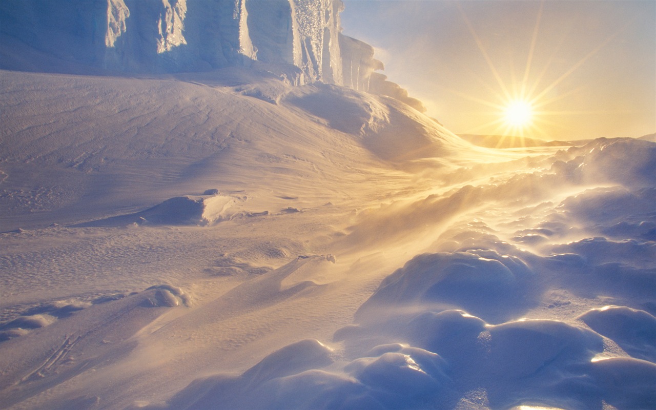 Windows 8 壁纸：南极洲，冰雪风景，南极企鹅9 - 1280x800