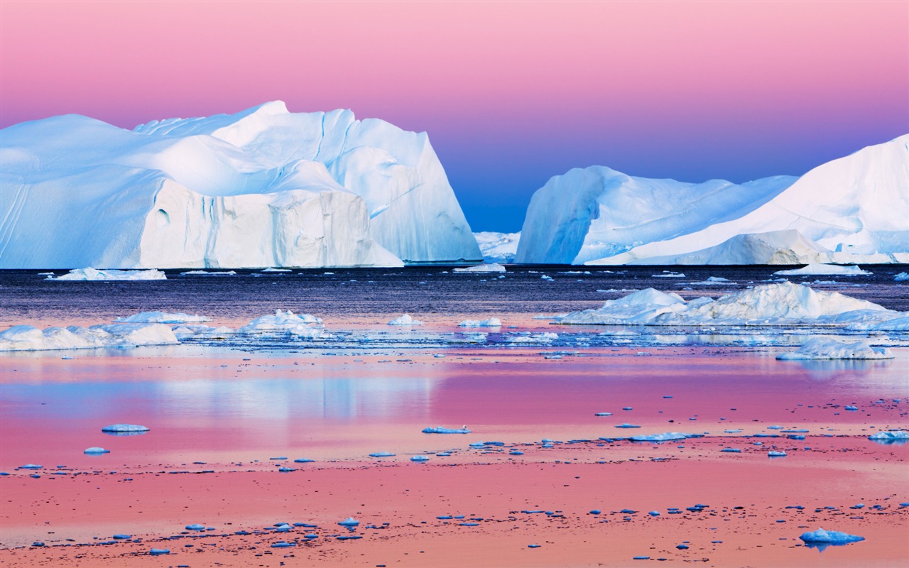 Windows 8 壁纸：北极圈，自然生态风景，北极动物7 - 1280x800
