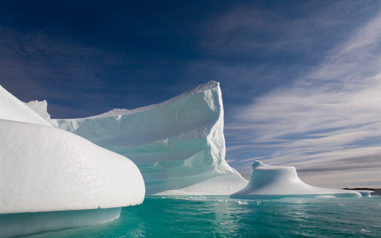 윈도우 8 배경 화면 : 북극의 자연 생태 경관, 북극 동물 #14 - 1280x800