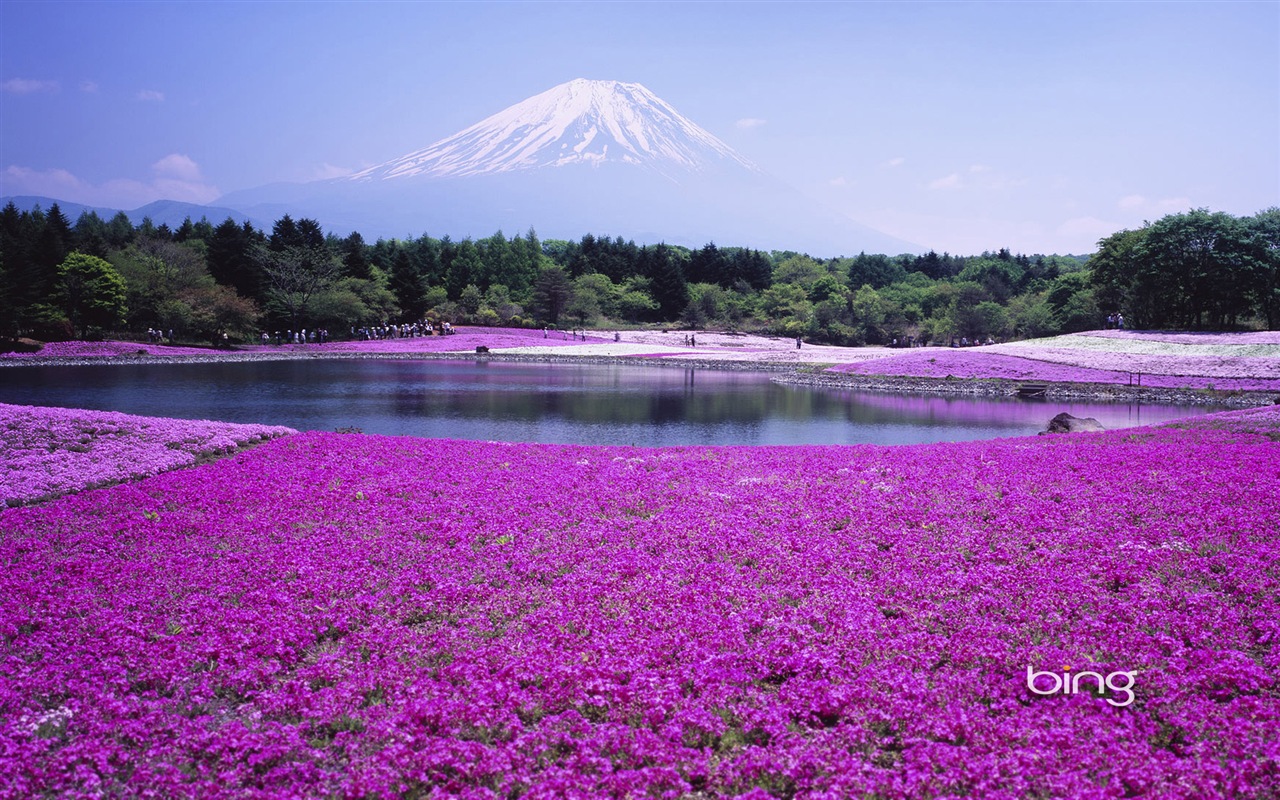 Microsoft Bing écran HD: Japonais papier peint thème du paysage #11 - 1280x800