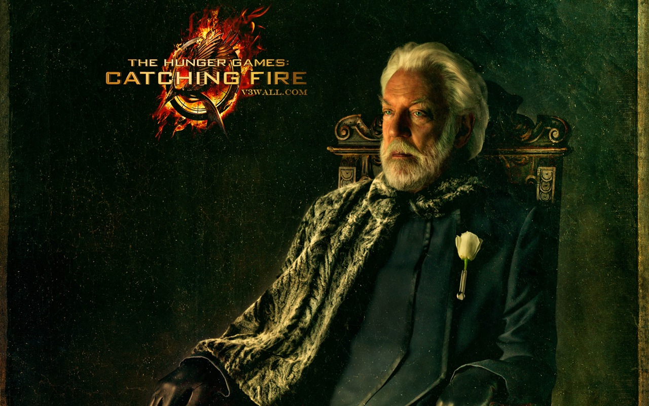 The Hunger Games: Catching Fire 饥饿游戏2：星火燎原 高清壁纸3 - 1280x800