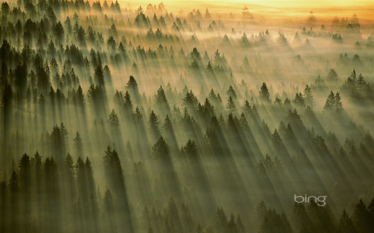 2013 Bing official theme HD wallpapers #26 - 1280x800