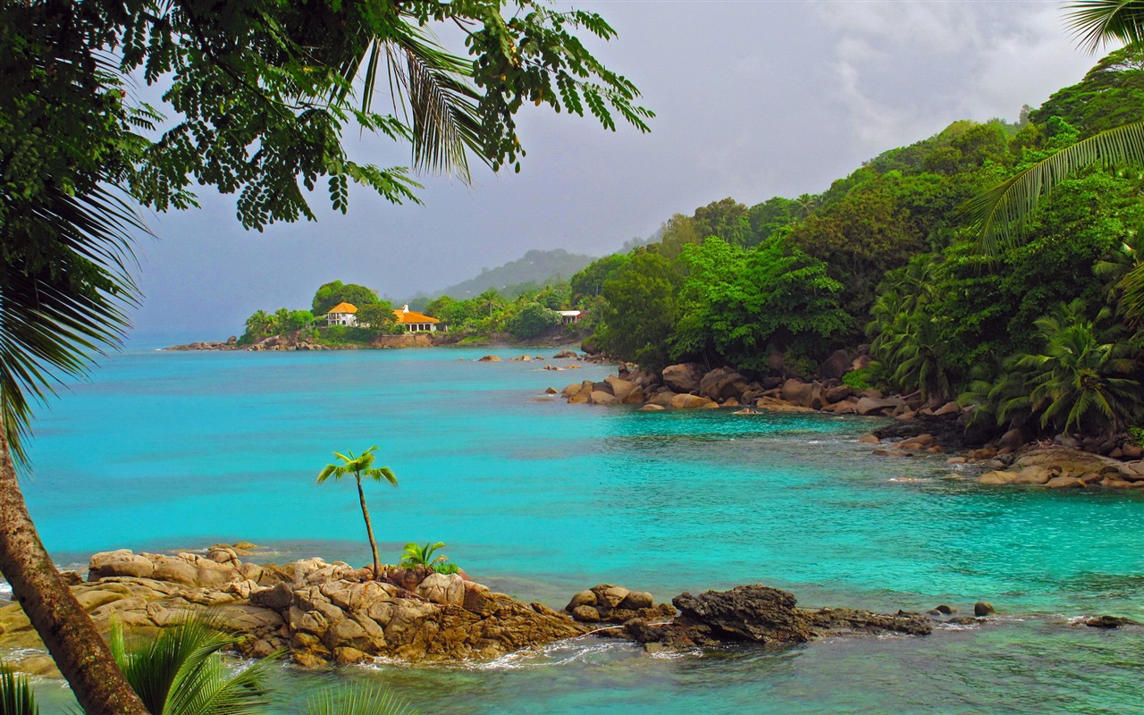 Seychelles Island nature landscape HD wallpapers #6 - 1280x800