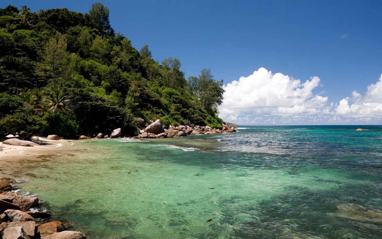 Seychelles Island nature landscape HD wallpapers #9 - 1280x800