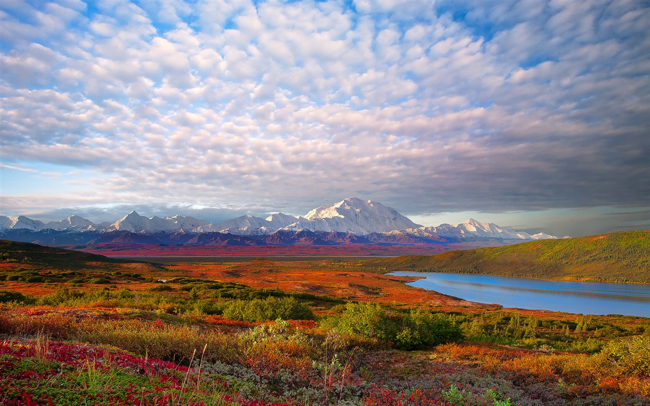 Parque Nacional Denali HD fondos de pantalla paisaje #1 - 1280x800