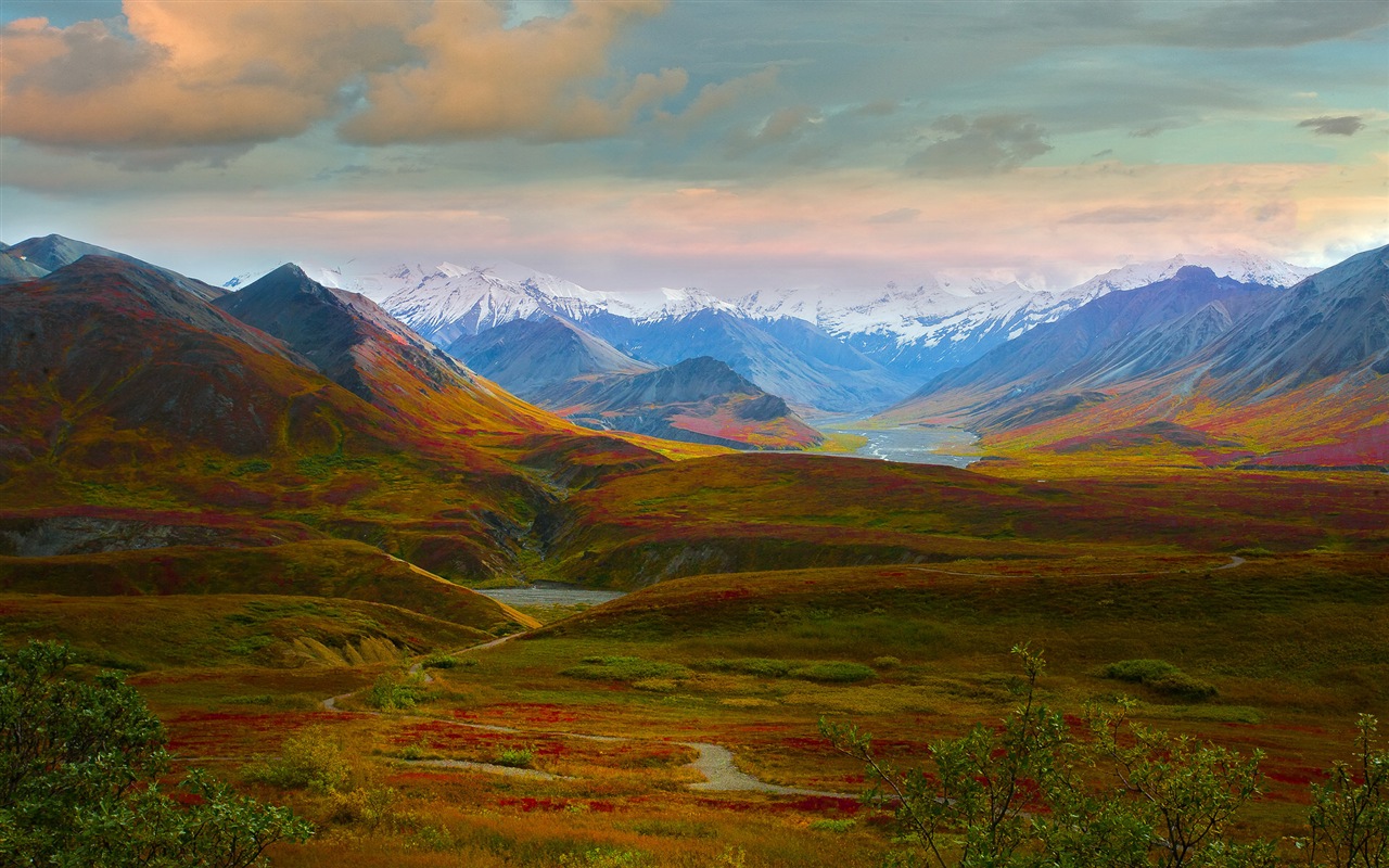 Denali National Park 丹那利国家公园 高清风景壁纸5 - 1280x800