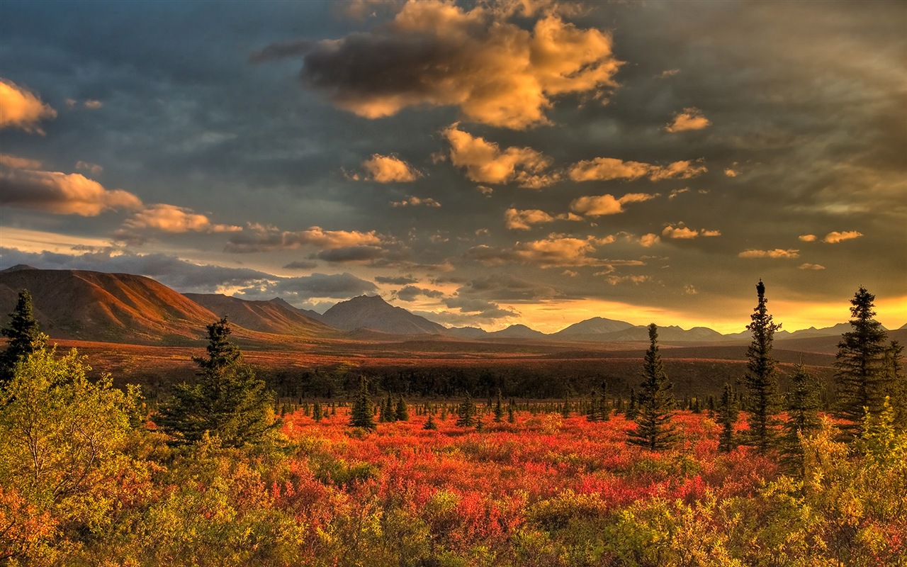 Parque Nacional Denali HD fondos de pantalla paisaje #8 - 1280x800