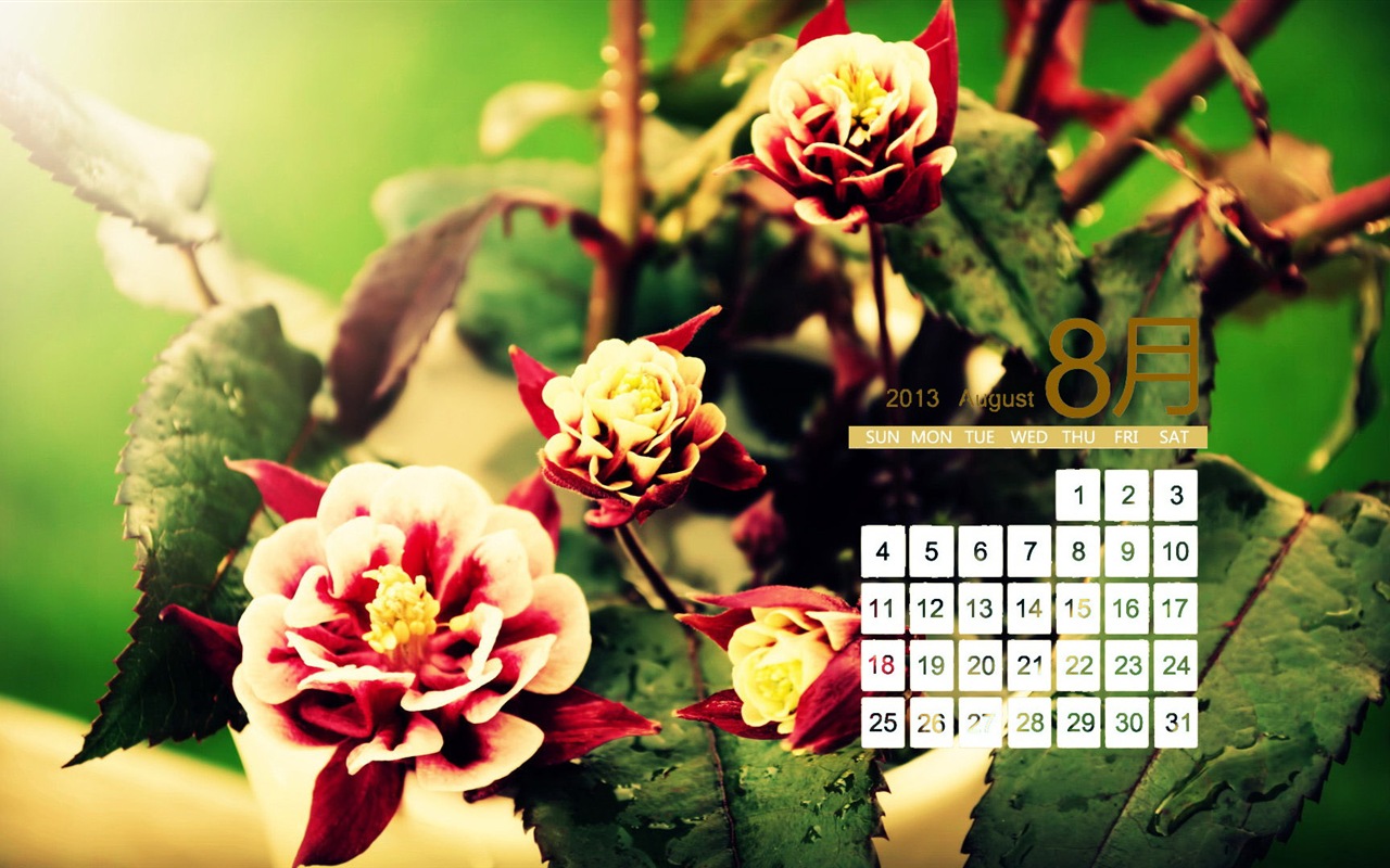 08 2013 calendario fondo de pantalla (1) #18 - 1280x800