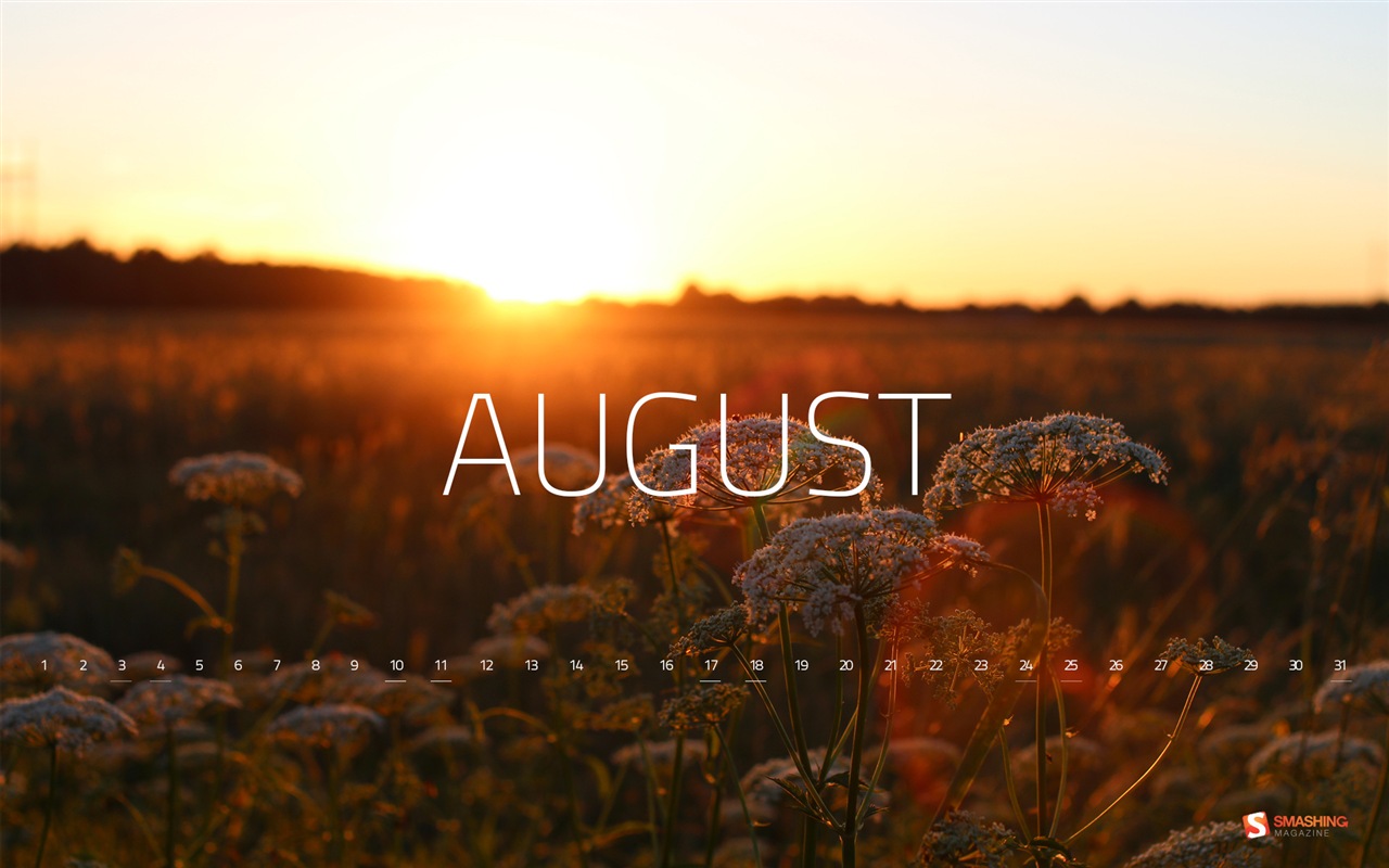 Август 2013 календарь обои (2) #2 - 1280x800