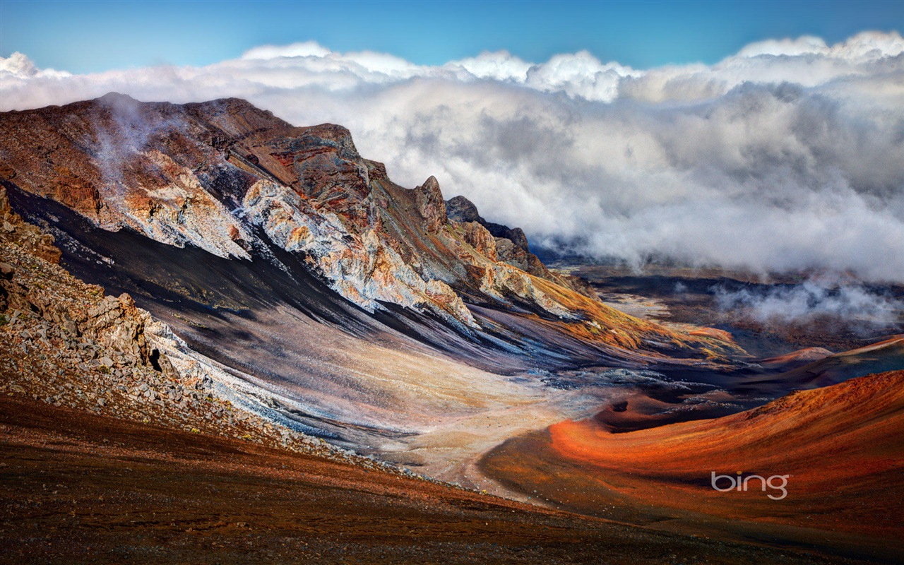 2013 Bing 必應官方動物和風景高清壁紙 #1 - 1280x800