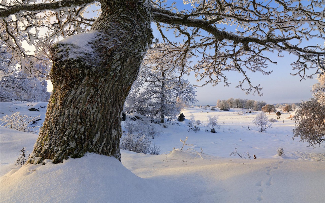 스웨덴 사계절 자연의 아름다움 HD 배경 화면 #13 - 1280x800