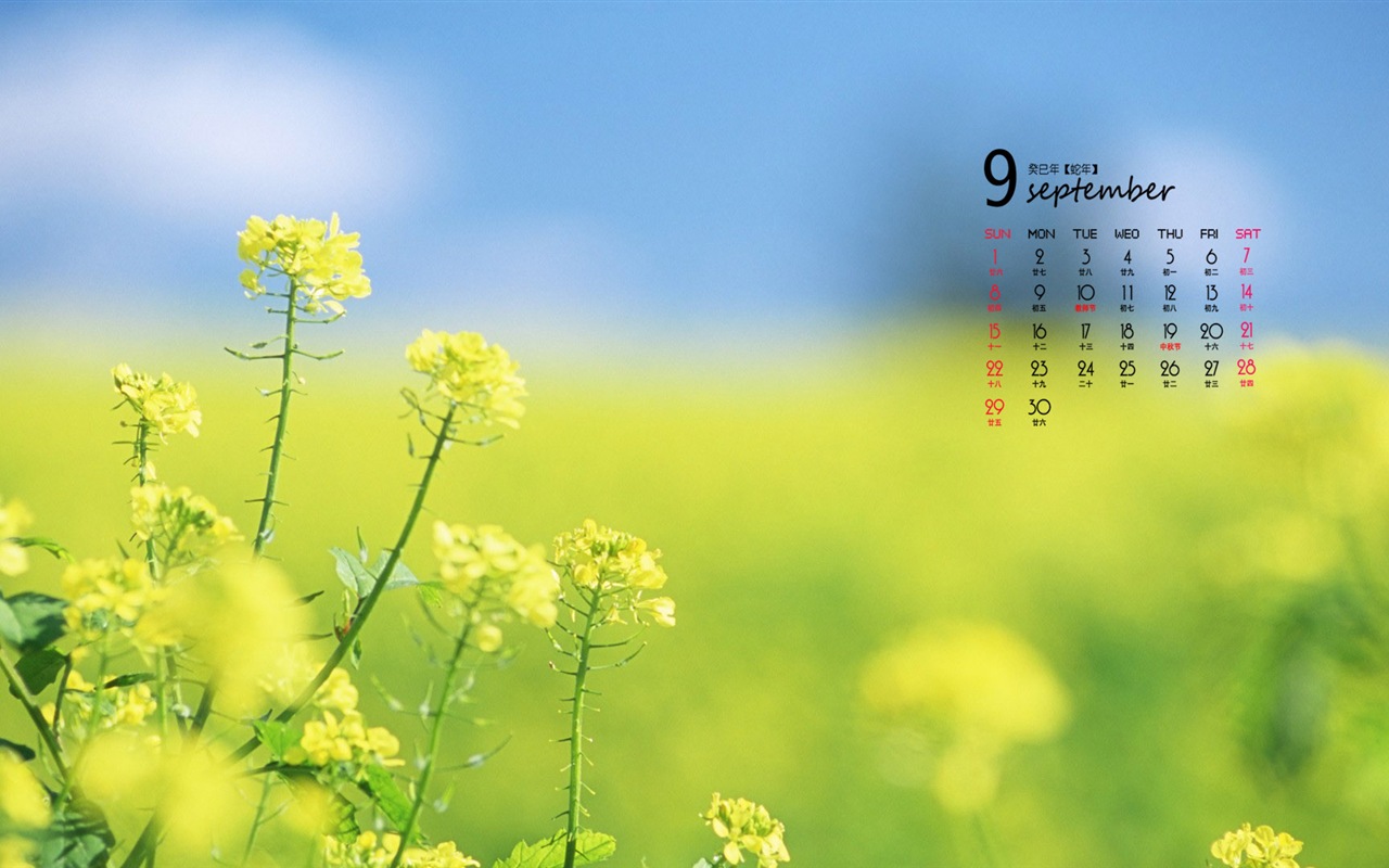 09 2013 Calendar fondo de pantalla (1) #4 - 1280x800