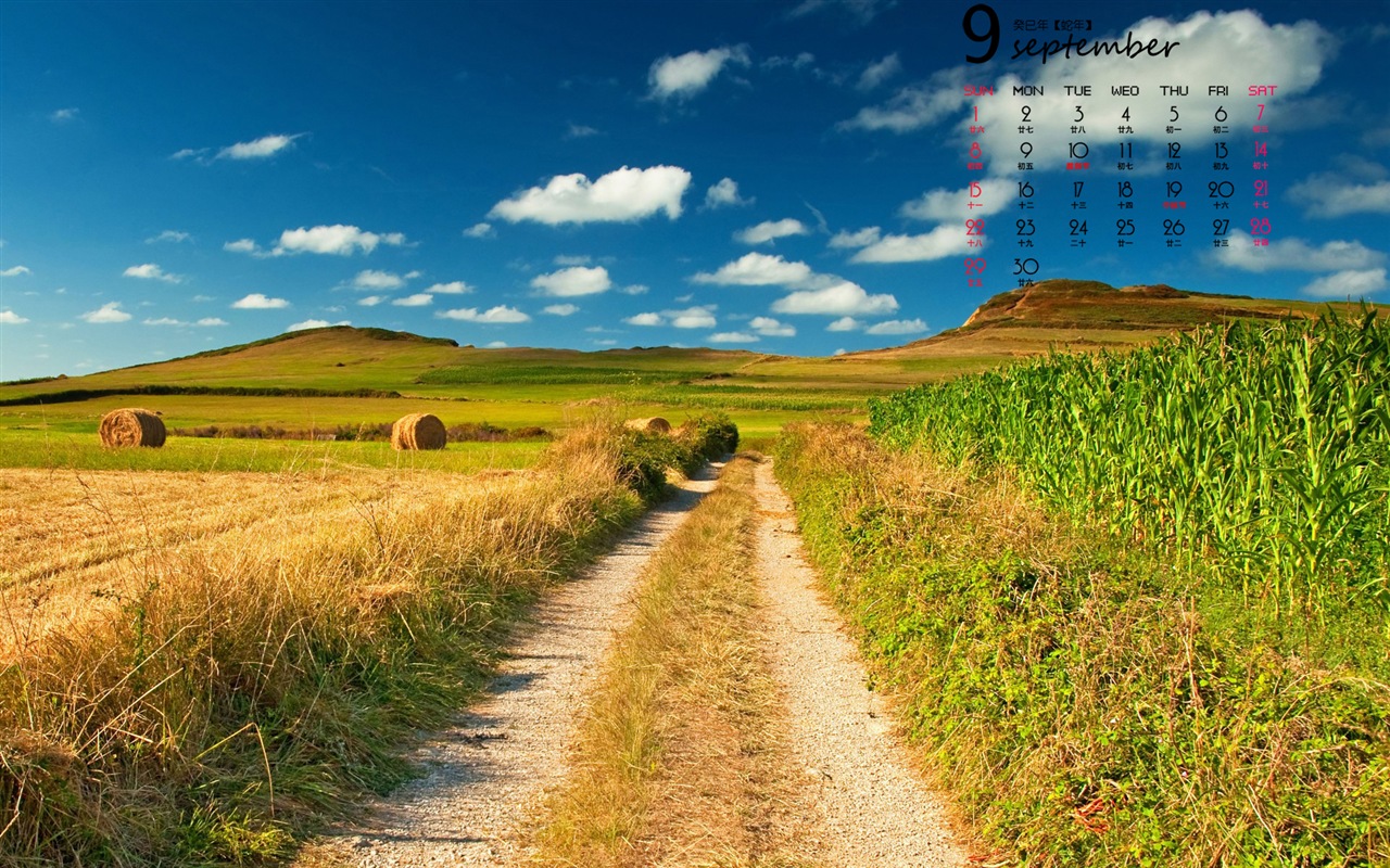 09 2013 Calendar fondo de pantalla (1) #17 - 1280x800