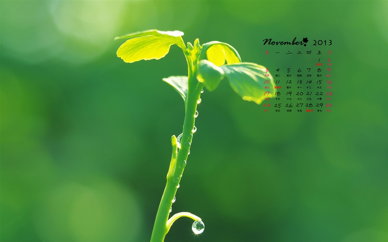 November 2013 Calendar wallpaper (1) #9 - 1280x800