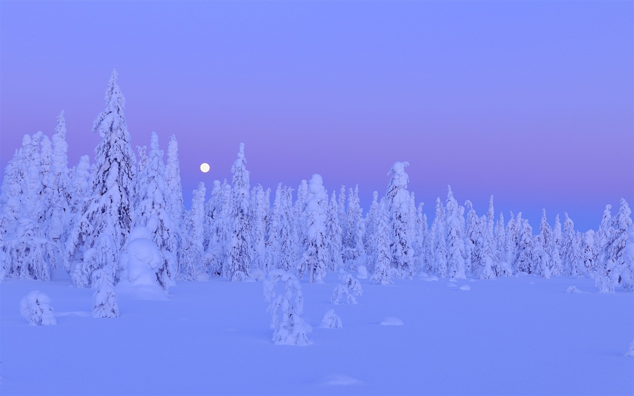 Windowsの8テーマのHD壁紙：冬の雪の夜 #12 - 1280x800