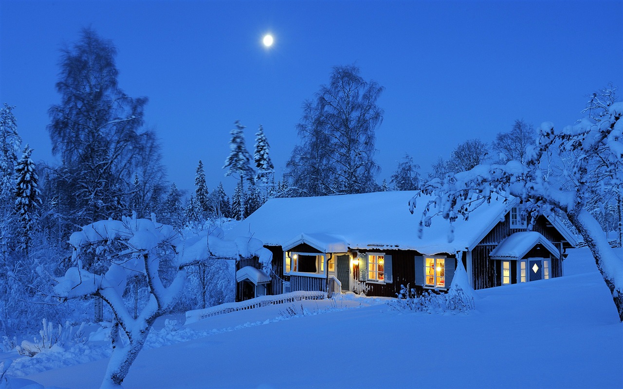 Windows 8 主题高清壁纸：冬季雪的夜景13 - 1280x800