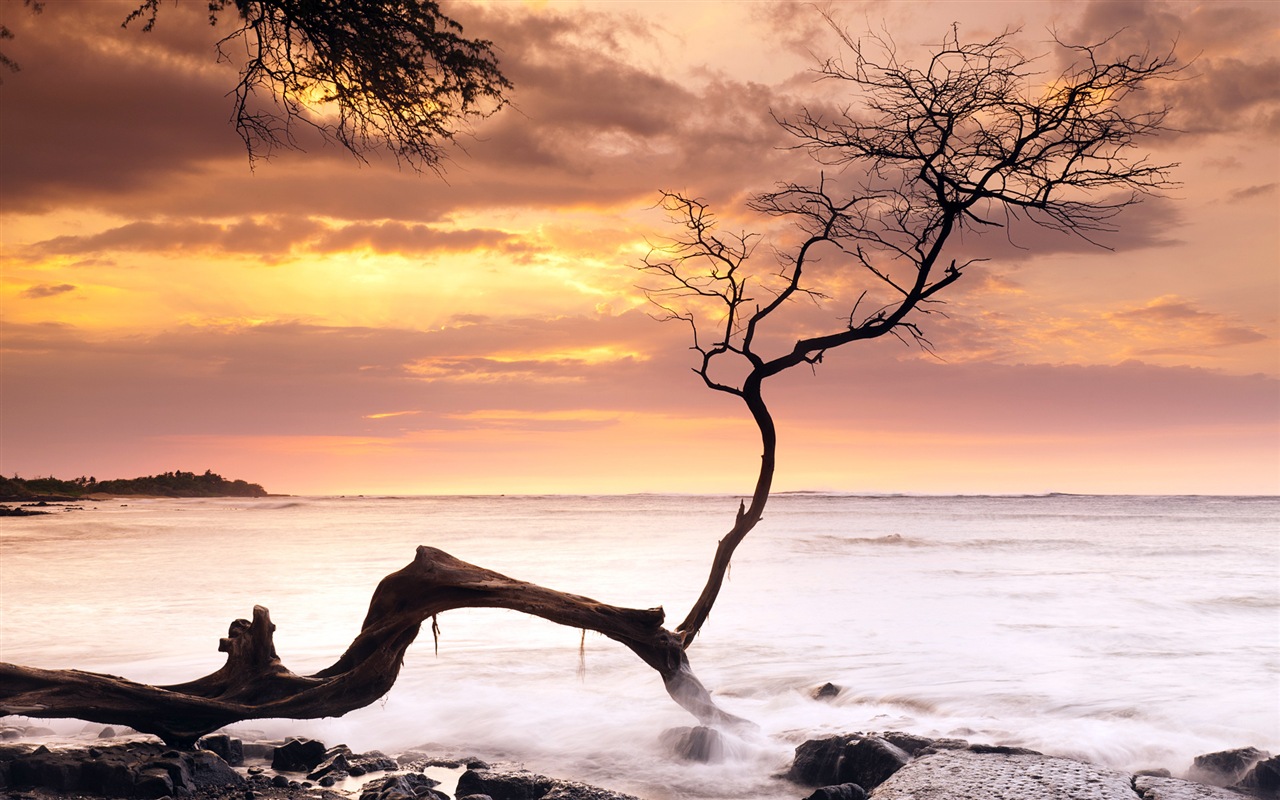 Windows 8 主題壁紙：海灘的日出日落美景 #5 - 1280x800