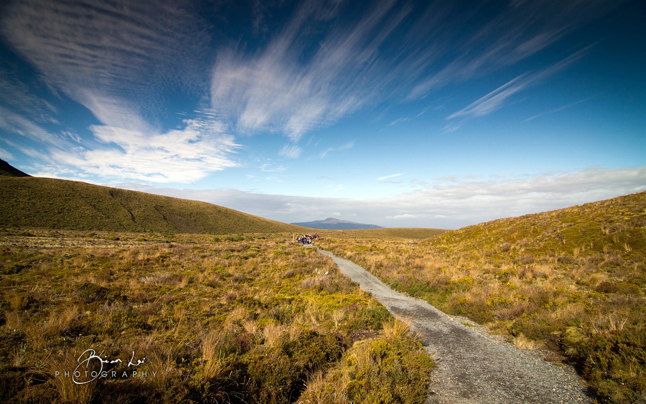Новая Зеландия North Island красивые пейзажи, Windows 8 тема обои #4 - 1280x800