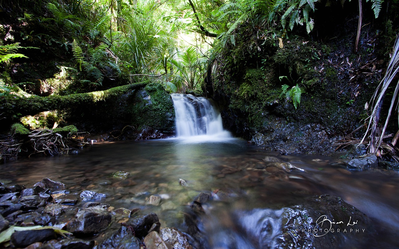 뉴질랜드 북섬의 아름다운 풍경, 윈도우 8 테마 배경 화면 #8 - 1280x800