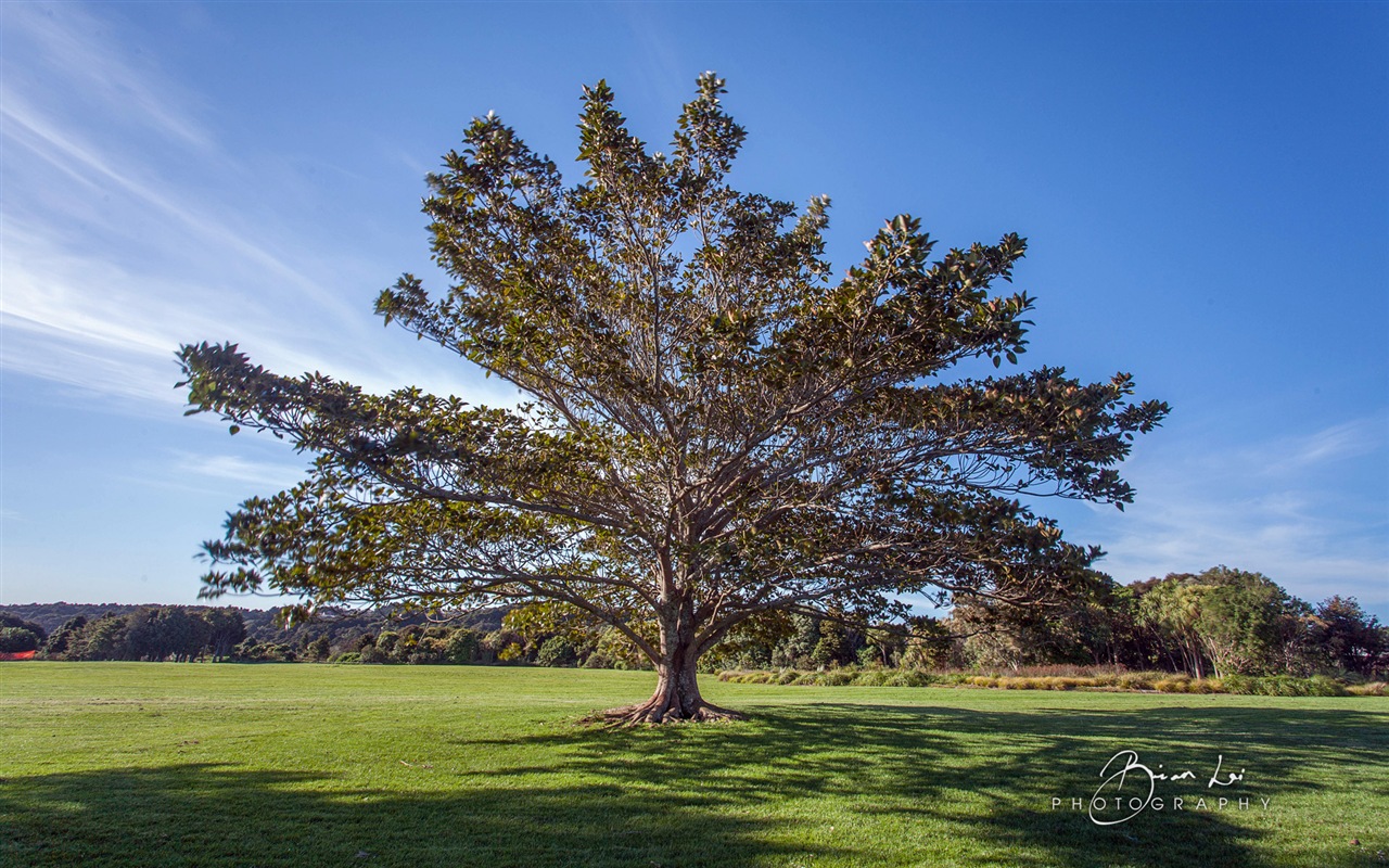 뉴질랜드 북섬의 아름다운 풍경, 윈도우 8 테마 배경 화면 #10 - 1280x800