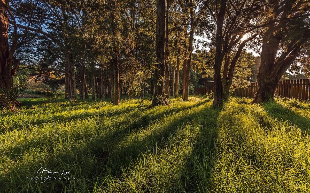 뉴질랜드 북섬의 아름다운 풍경, 윈도우 8 테마 배경 화면 #13 - 1280x800