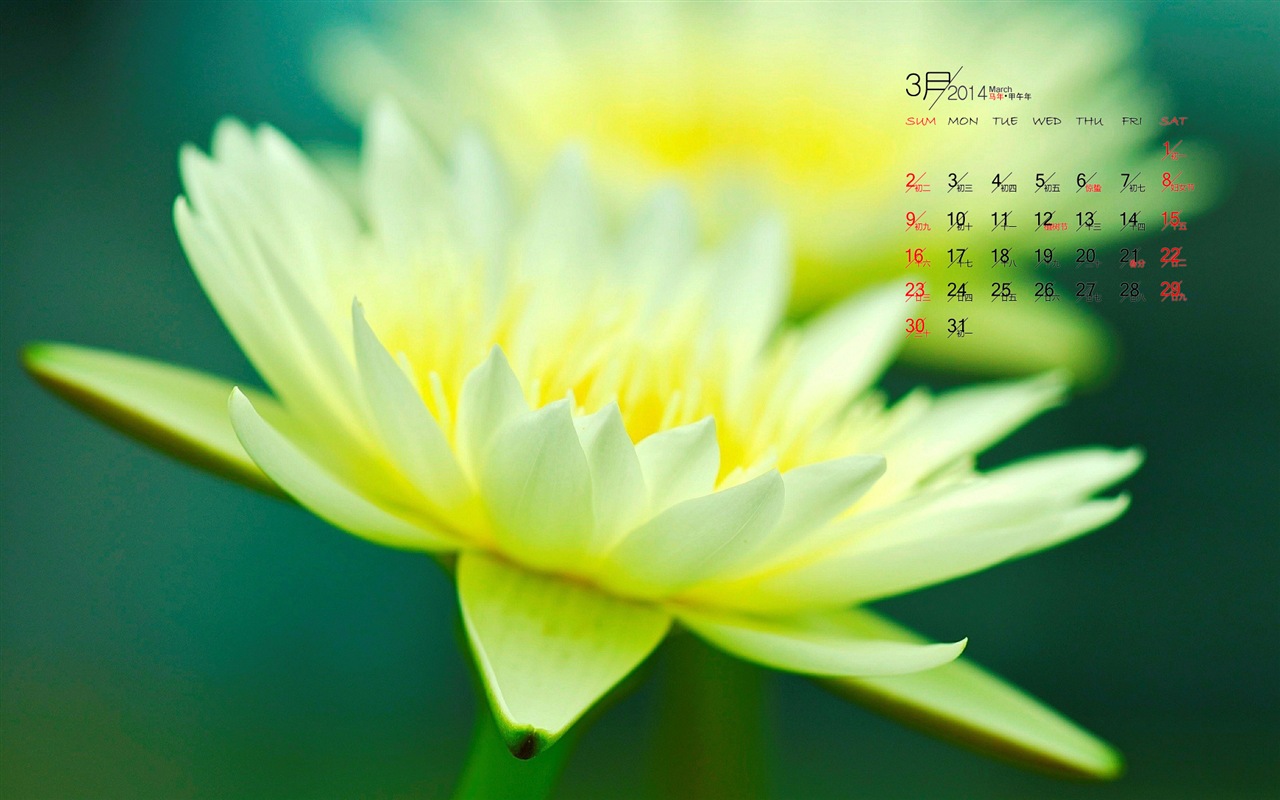 2014年3月 月历壁纸(一)6 - 1280x800