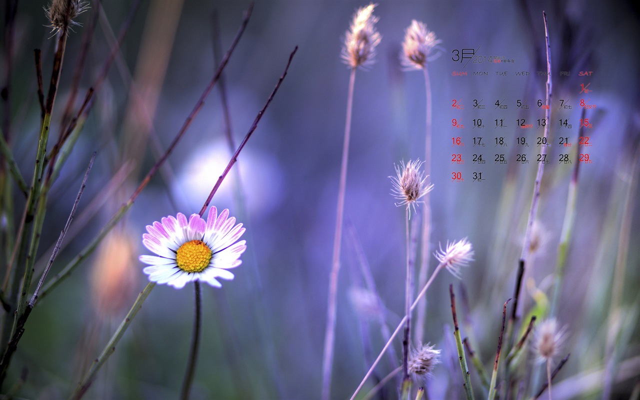 Mars 2014 calendriers fond d'écran (1) #7 - 1280x800