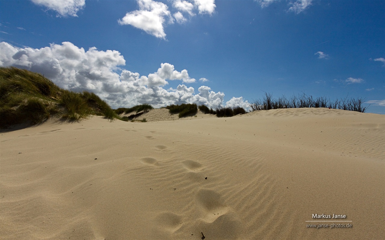 Spiekeroog, Germany, Windows 8 landscape theme wallpapers #12 - 1280x800