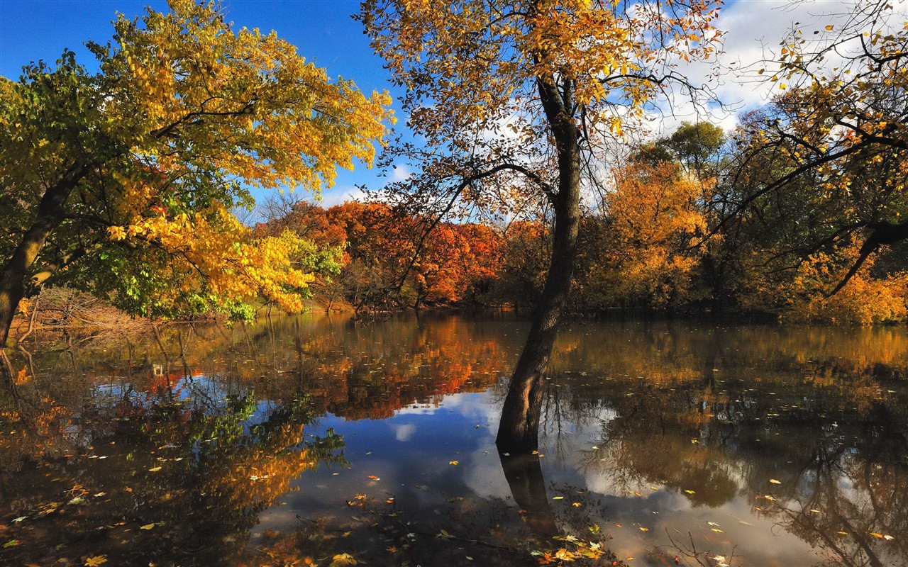 Reflection in the water natural scenery wallpaper #14 - 1280x800