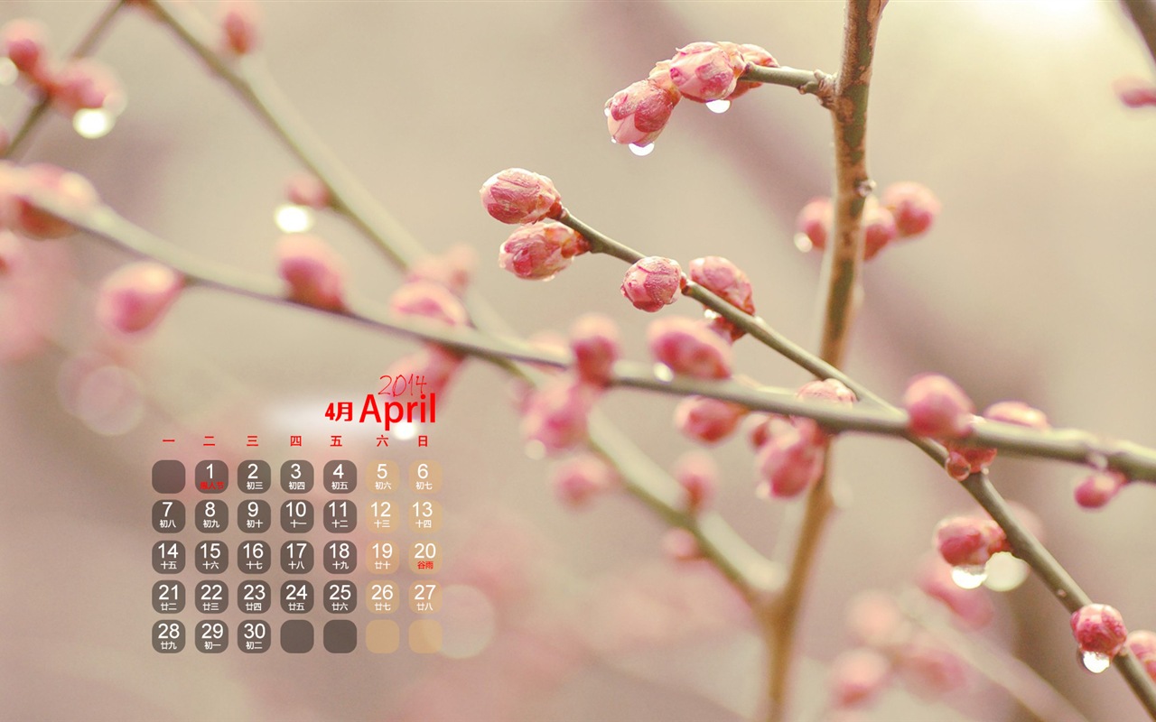 Avril 2014 calendriers fond d'écran (1) #3 - 1280x800