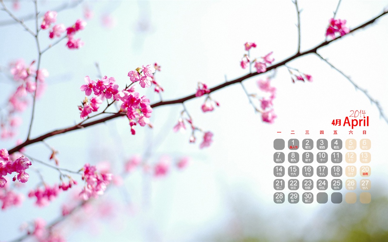 Avril 2014 calendriers fond d'écran (1) #4 - 1280x800