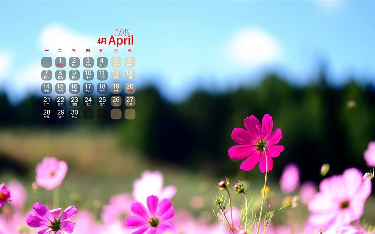 Avril 2014 calendriers fond d'écran (1) #8 - 1280x800