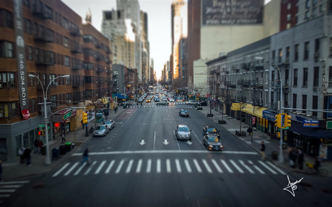 뉴욕의 도시 풍경, 마이크로 소프트 윈도우 8의 HD 배경 화면 #19 - 1280x800