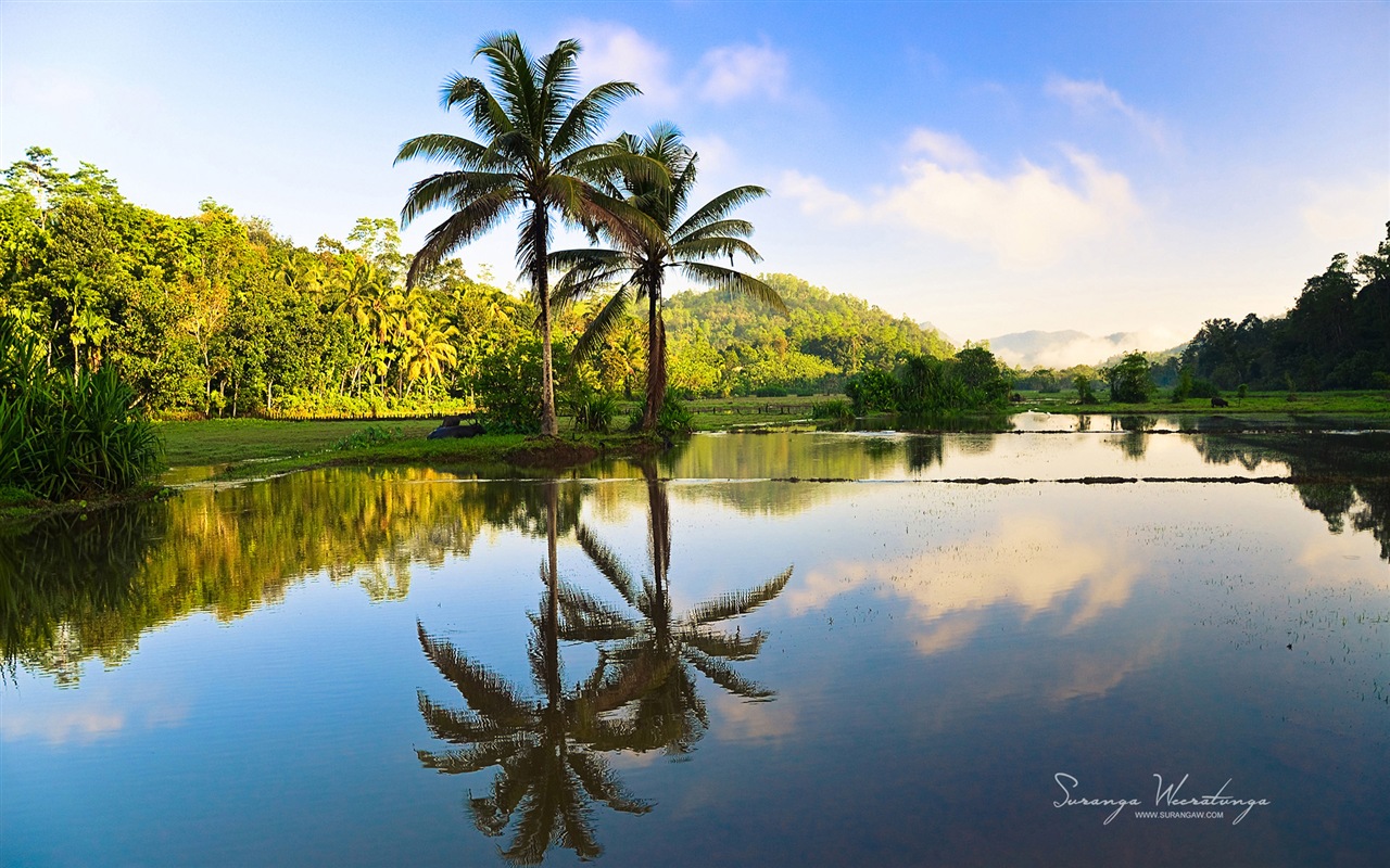 Sri Lanka style de paysage, Windows 8 fonds d'écran thématiques #11 - 1280x800