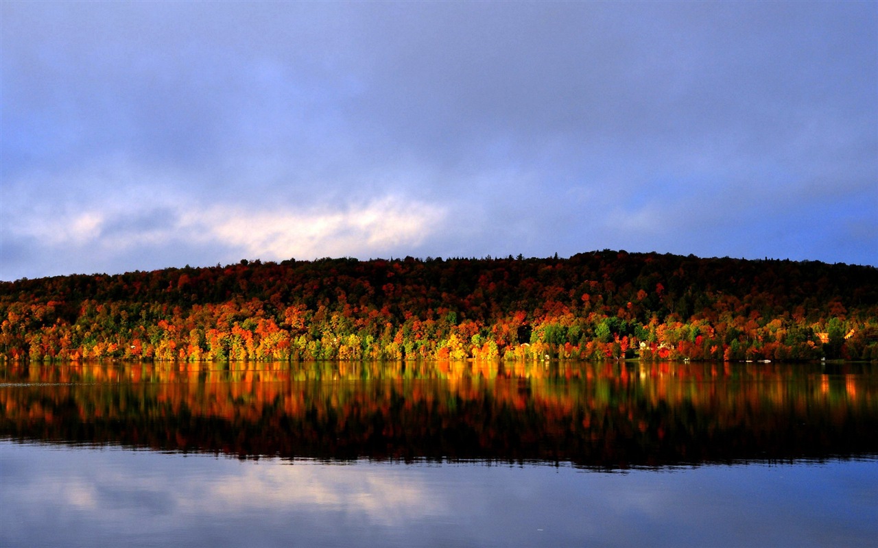 L'eau et les arbres en automne fonds d'écran HD #3 - 1280x800
