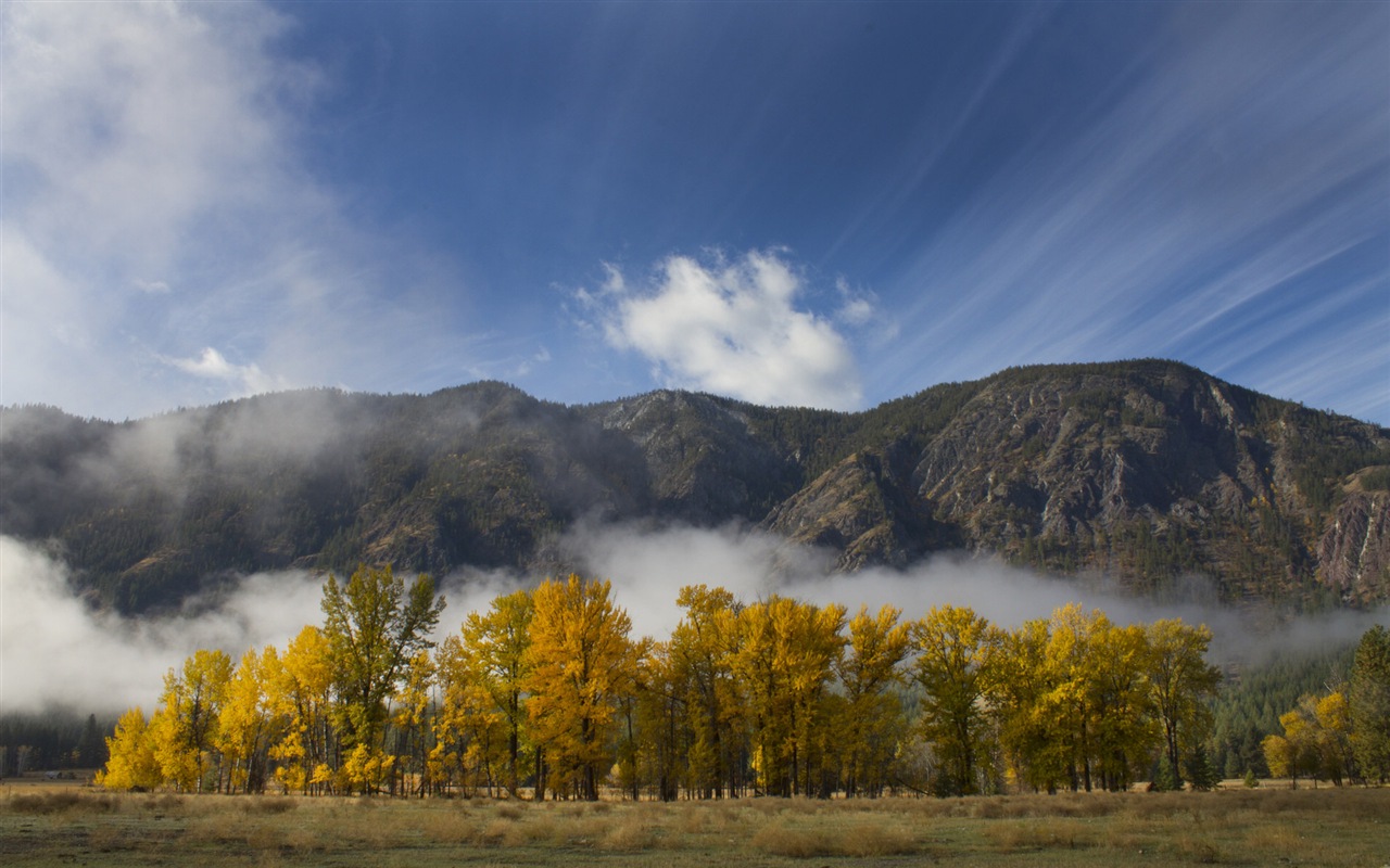 Hojas de otoño de niebla y los árboles fondos de pantalla de alta definición #9 - 1280x800