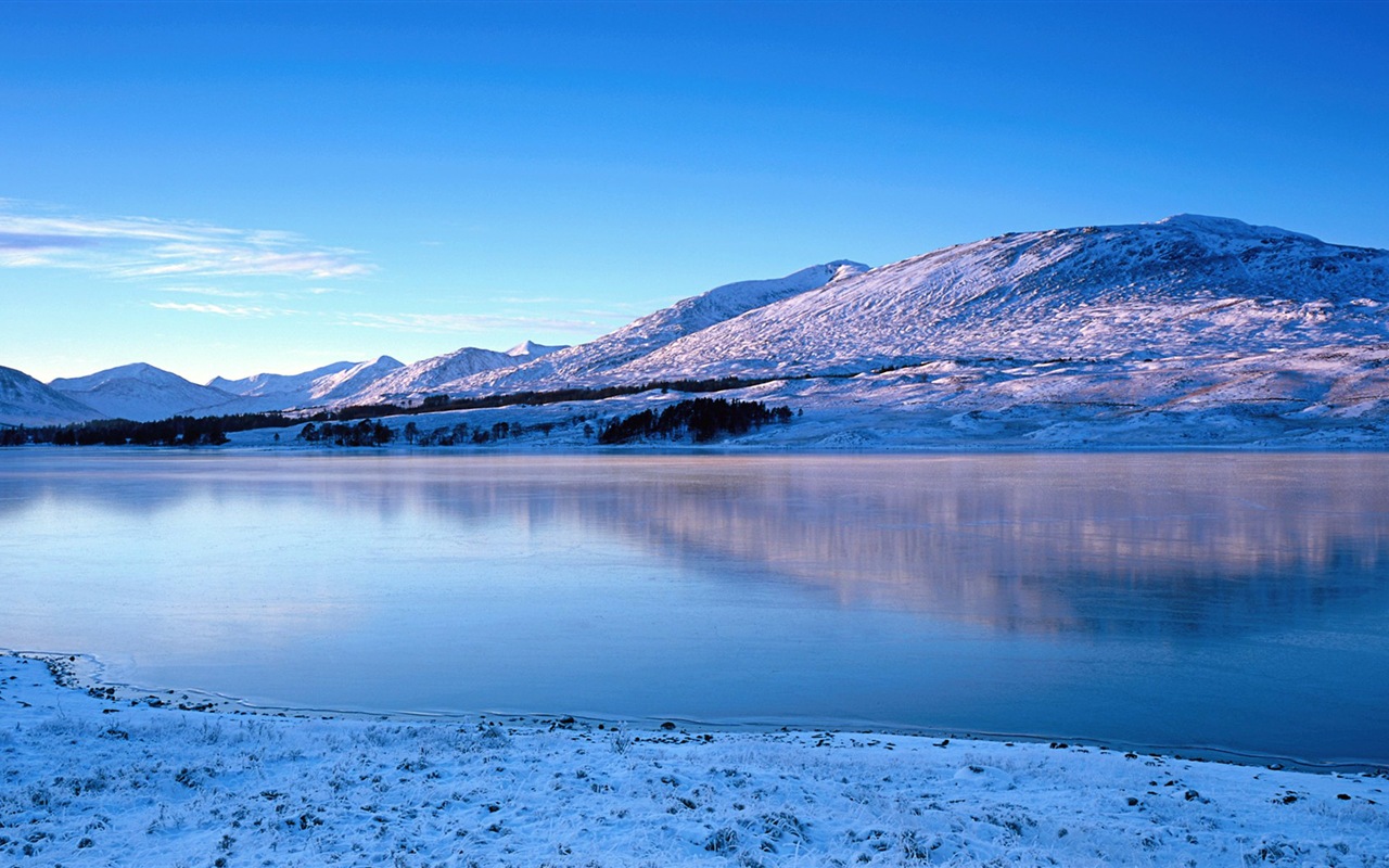 寒冷冬天美丽的雪景，Windows 8 全景宽屏壁纸5 - 1280x800