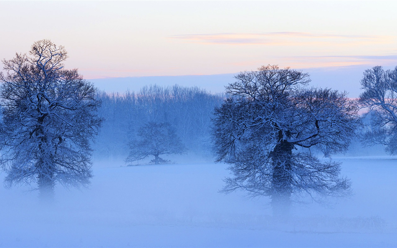 寒冷冬天美麗的雪景，Windows 8 全景寬屏壁紙 #6 - 1280x800