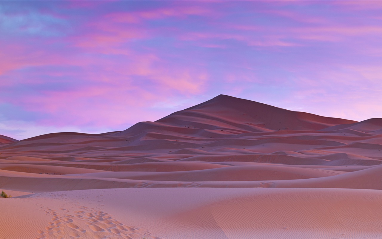 炎热干旱的沙漠，Windows 8 全景宽屏壁纸1 - 1280x800