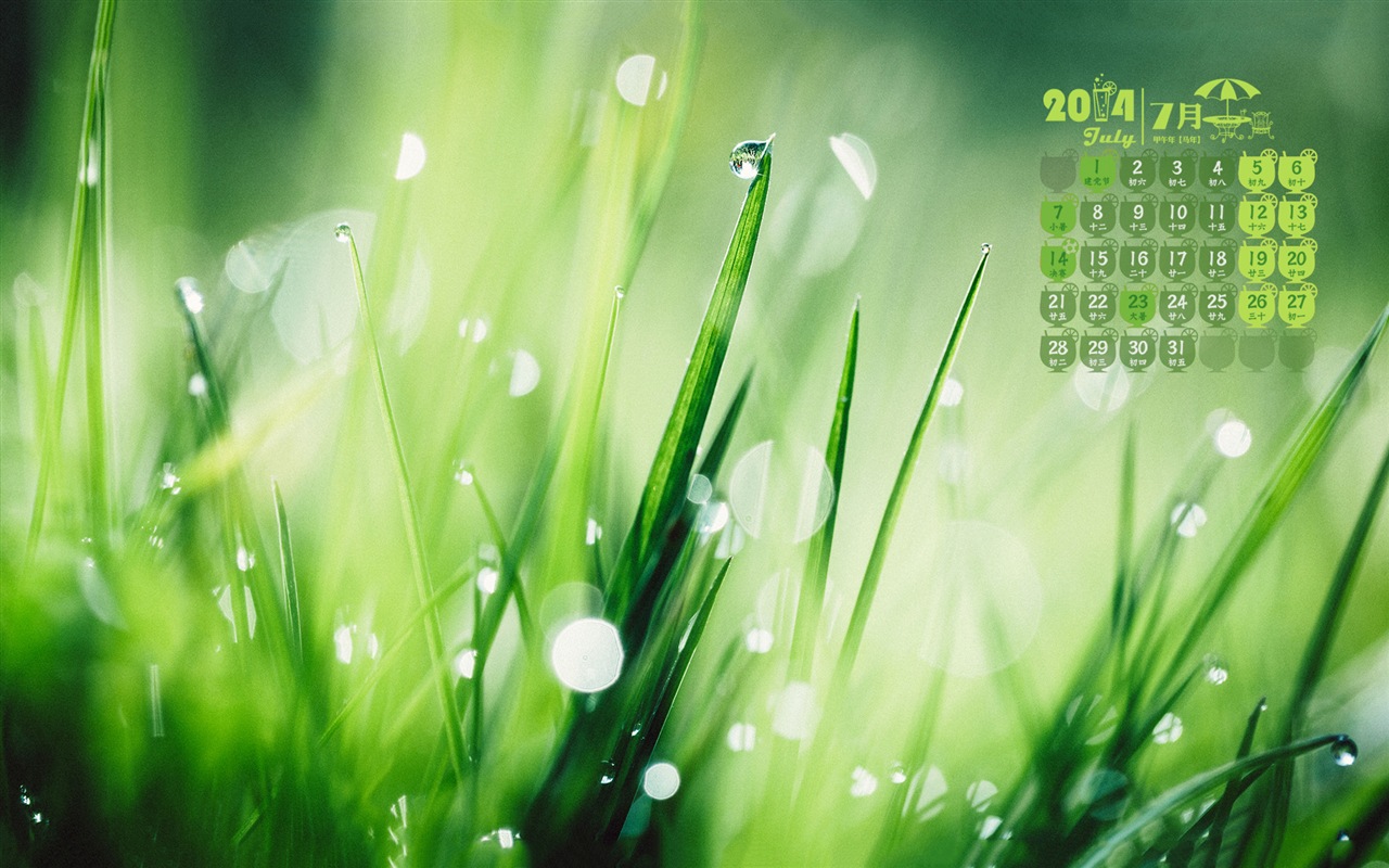 Juli 2014 Kalender Wallpaper (2) #20 - 1280x800