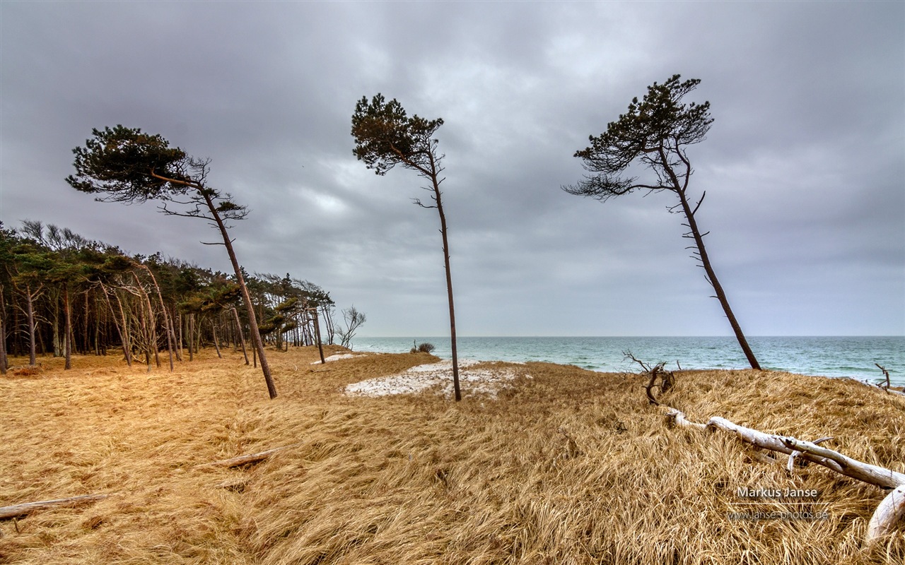 독일의 아름다운 해안 풍경, 윈도우 8의 HD 배경 화면 #18 - 1280x800