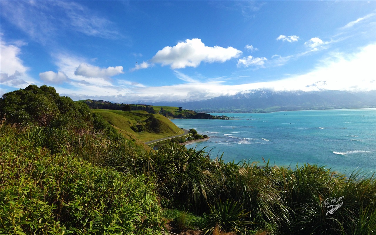 新西兰迷人的风景，Windows 8 主题壁纸7 - 1280x800