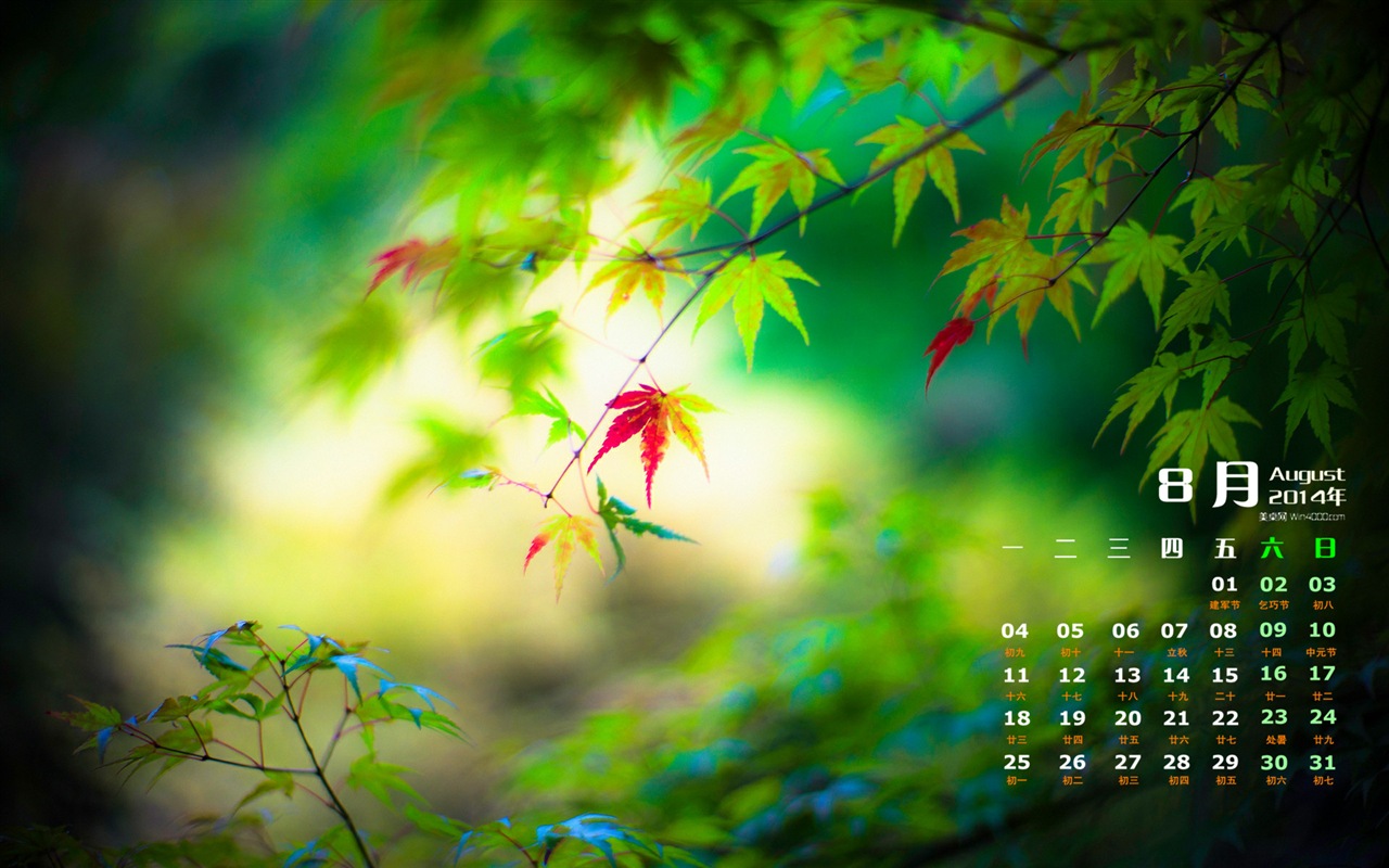 August 2014 calendar wallpaper (1) #8 - 1280x800