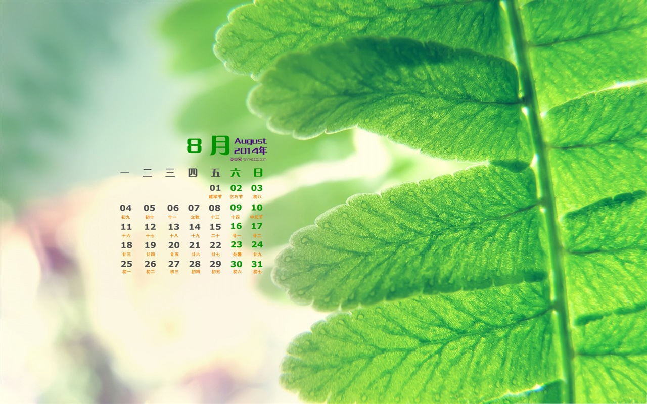 August 2014 calendar wallpaper (1) #14 - 1280x800