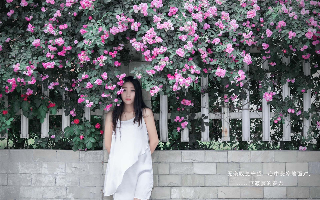 Krásná dívka s růží květ HD tapety #7 - 1280x800