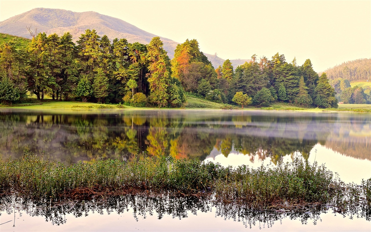 Sunshine lagos forestales belleza de la naturaleza HD papel tapiz #14 - 1280x800