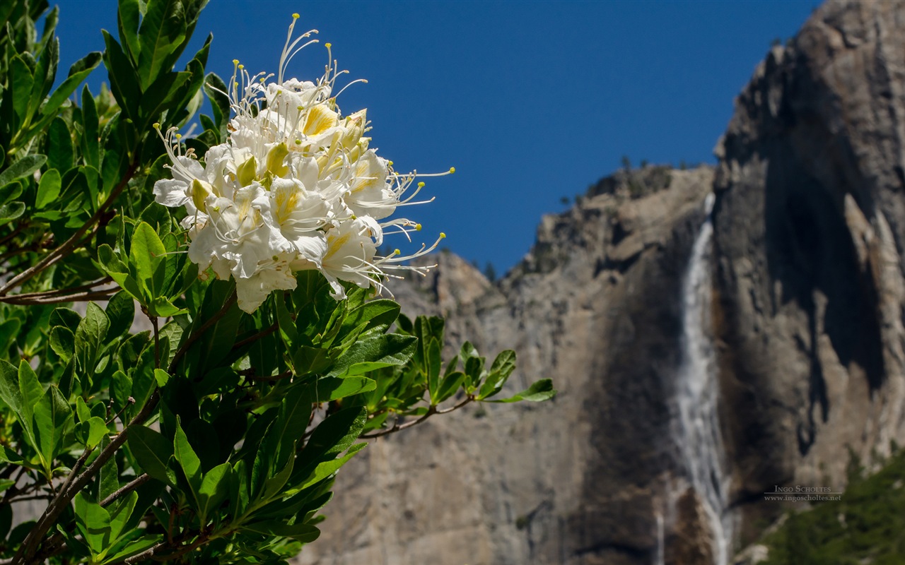 Windows 8 theme, Yosemite National Park HD wallpapers #4 - 1280x800